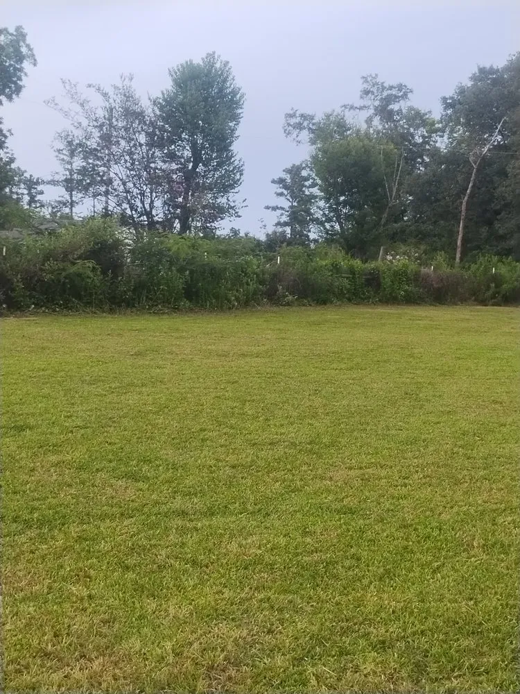 Affordable garden landscaping near you in Cottondale, FL by Big Dawg's Lawn Care