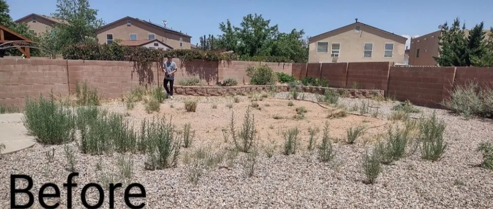 Reliable yard maintenance for residential properties across Albuquerque, NM - Big Dawg's Yard Care