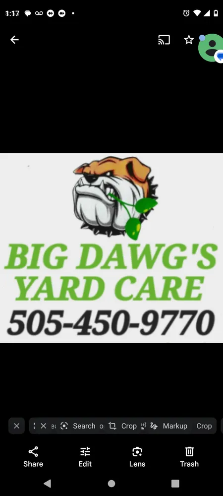 Trusted garden landscaping in Albuquerque, NM by Big Dawg's Yard Care