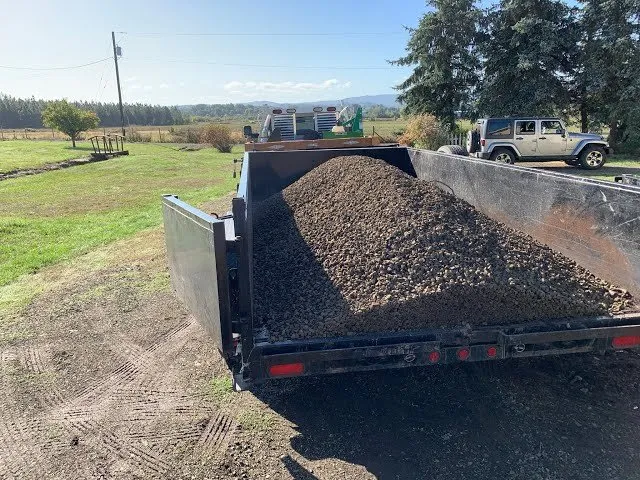 Expert yard cleanup service in Haslet, TX - Big Digs. Big Dumps