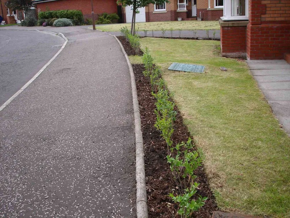 Reliable landscaping services in Dunnellon, FL by Big Discount Tree Service