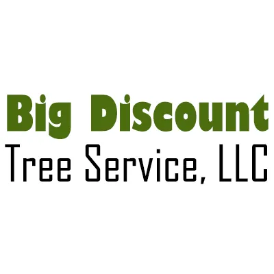 Reliable yard cleanup service with custom design across Dunnellon, FL - Big Discount Tree Service