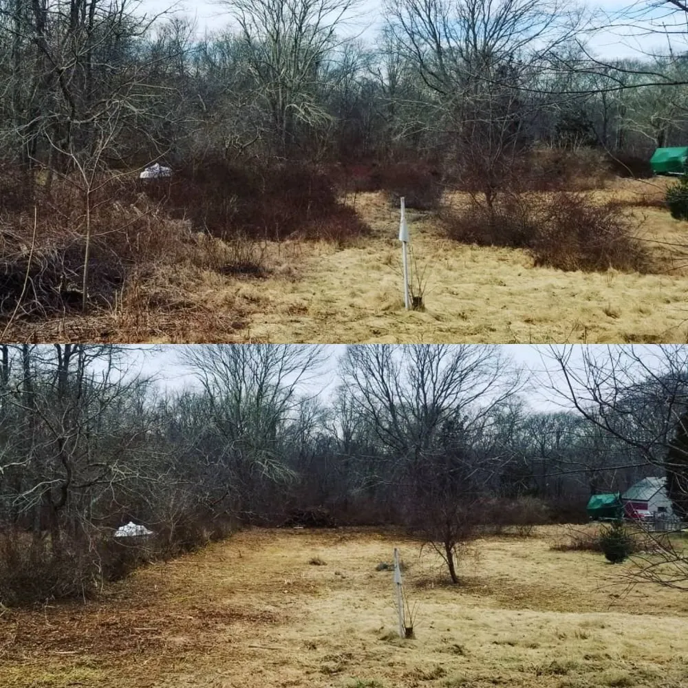 Professional landscaping services for year-round maintenance in Waterford, CT by Big Dog Land Services