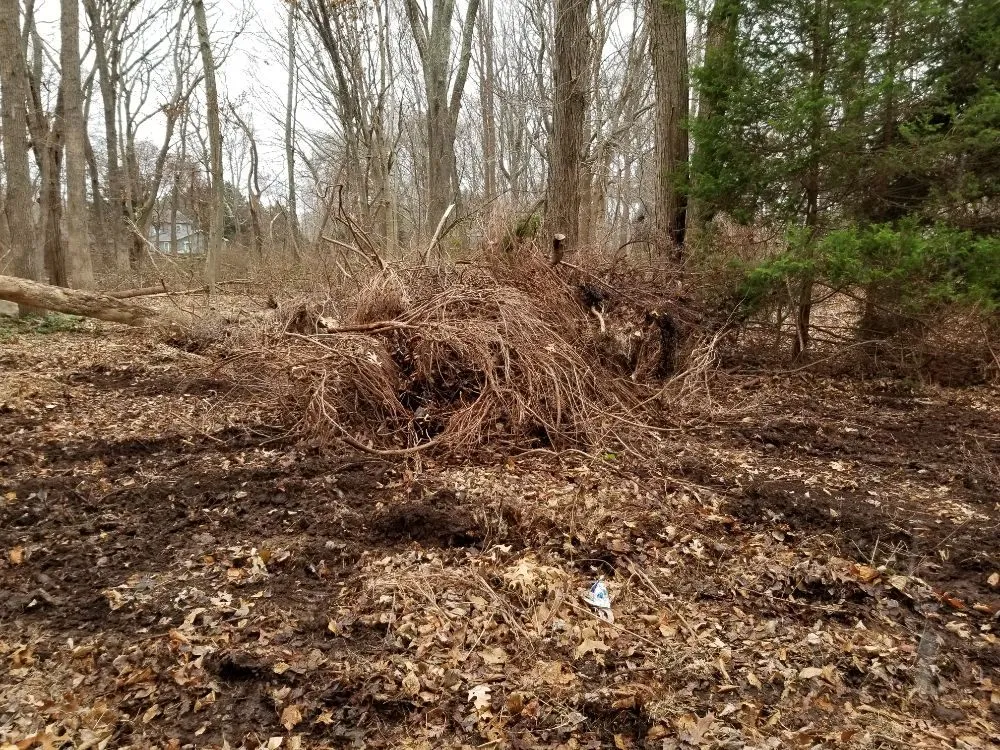 Top-rated lawn care service experts serving Waterford, CT - Big Dog Land Services