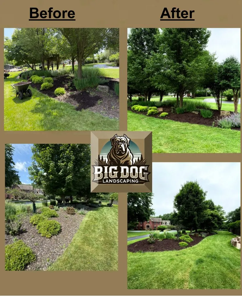 Affordable landscaping services for beautiful yards across Vernon, WI - Big Dog Landscaping