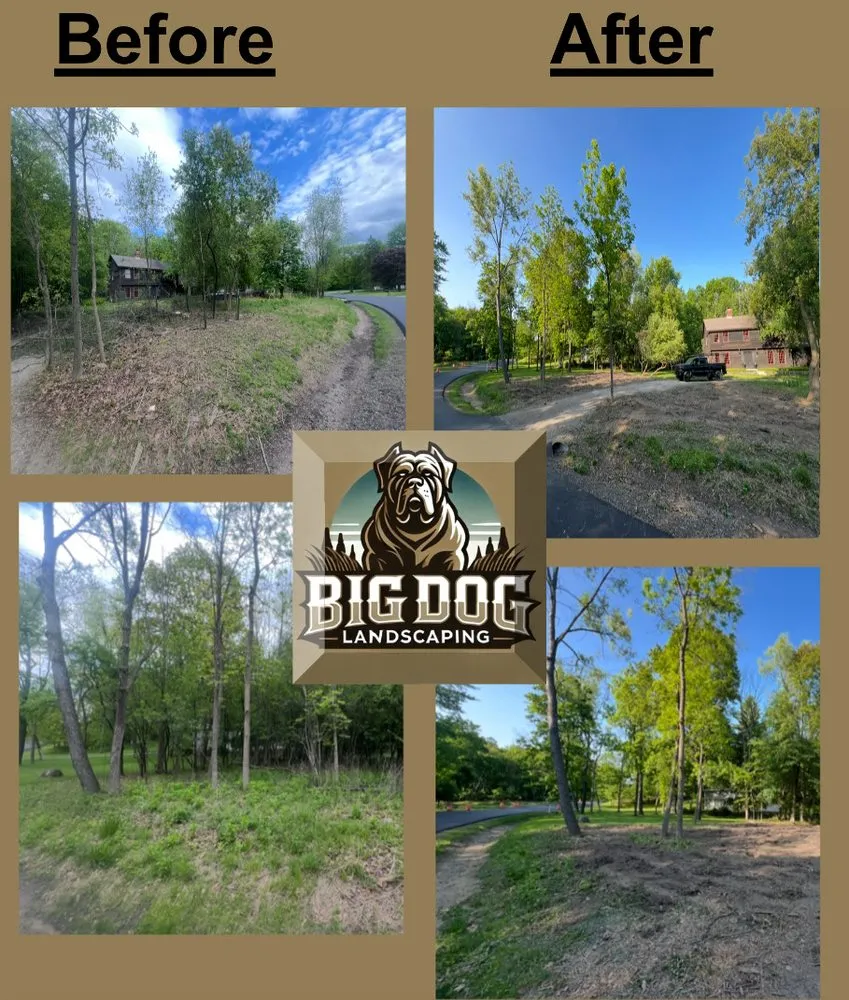 Local lawn care service for residential properties in Vernon, WI by Big Dog Landscaping