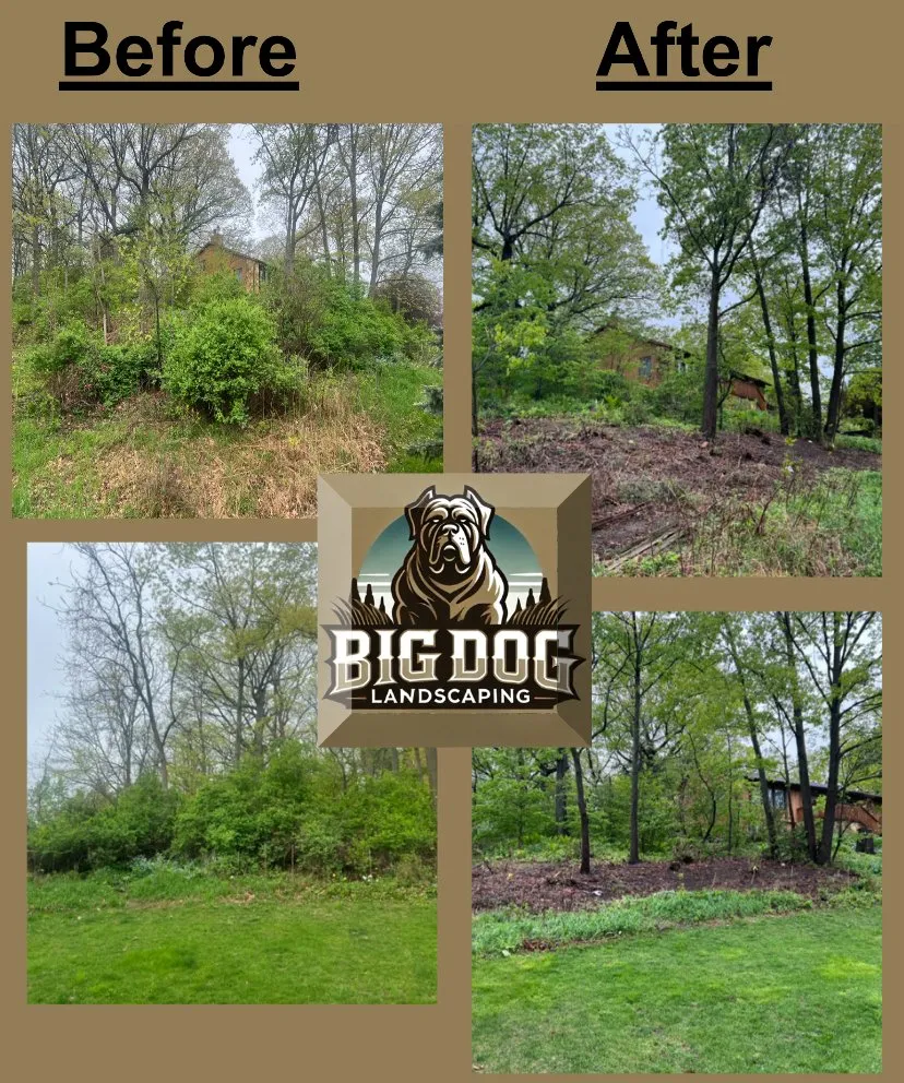 Affordable yard maintenance experts serving Vernon, WI - Big Dog Landscaping