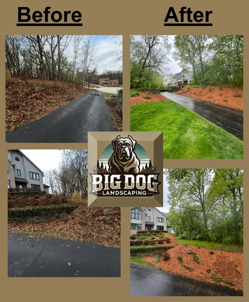 Local lawn mowing service in Vernon, WI - Big Dog Landscaping