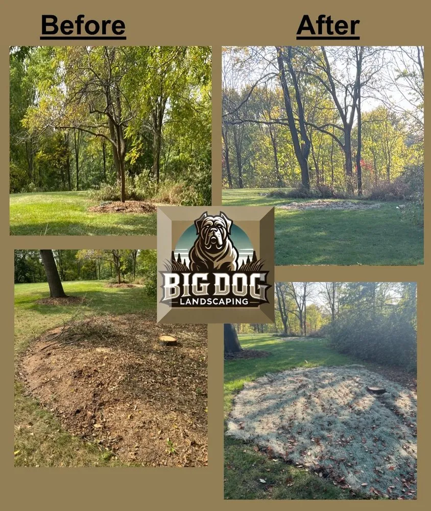 Affordable landscaping services for year-round maintenance in Vernon, WI by Big Dog Landscaping