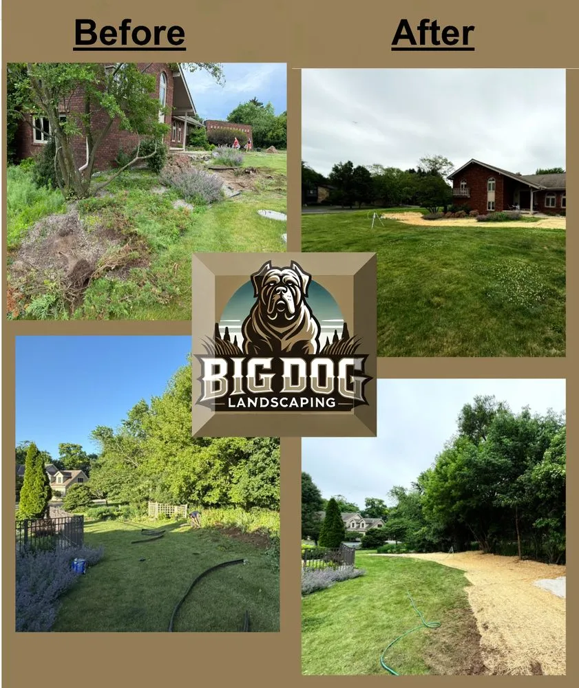 Professional lawn mowing service in Vernon, WI - Big Dog Landscaping