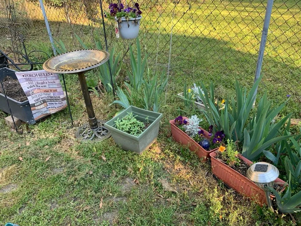 Trusted landscaping services for homes in Columbia, SC by Big Dog Lawn Services