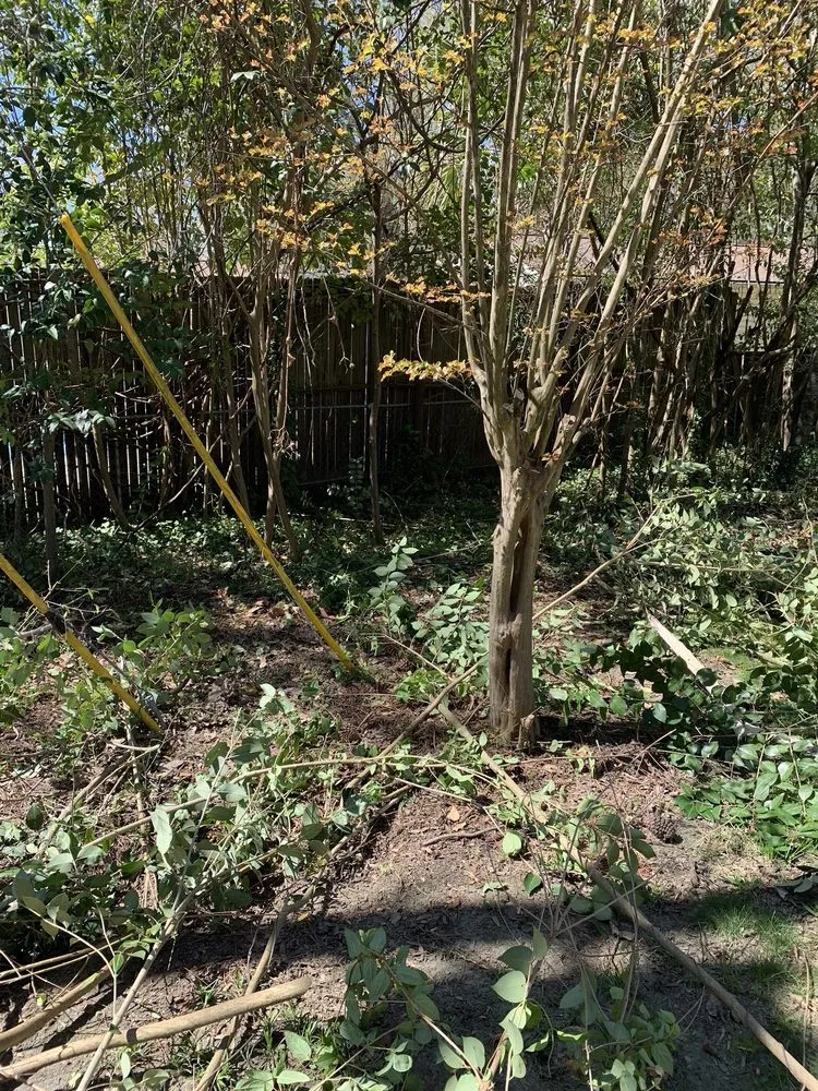 Reliable landscape installation for residential properties across Columbia, SC - Big Dog Lawn Services