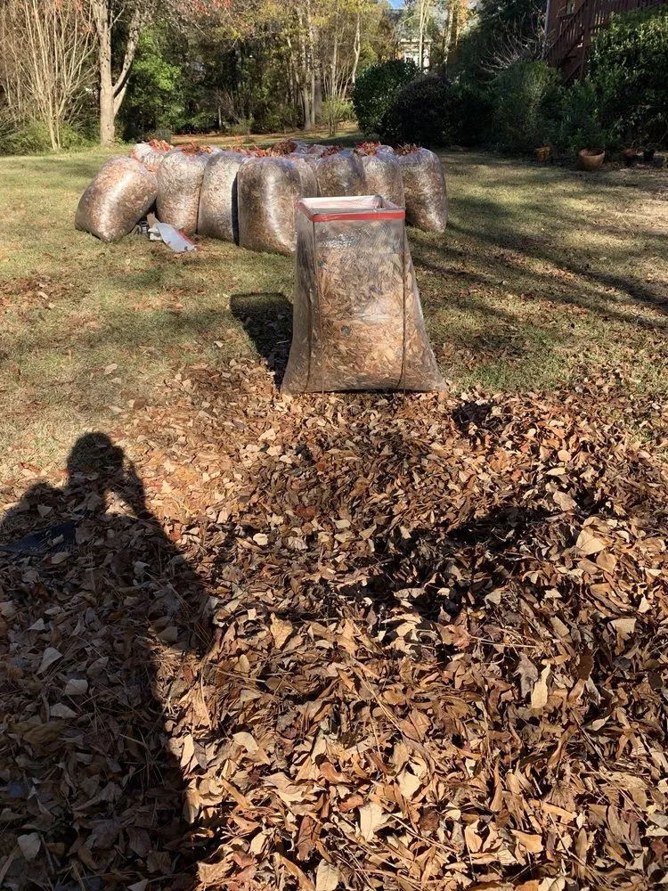 Professional landscape installation experts serving Columbia, SC - Big Dog Lawn Services