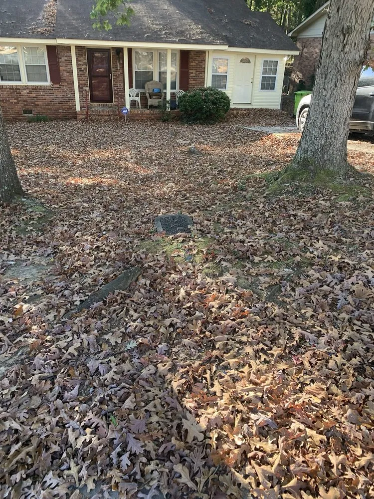 Reliable landscape design in Columbia, SC - Big Dog Lawn Services