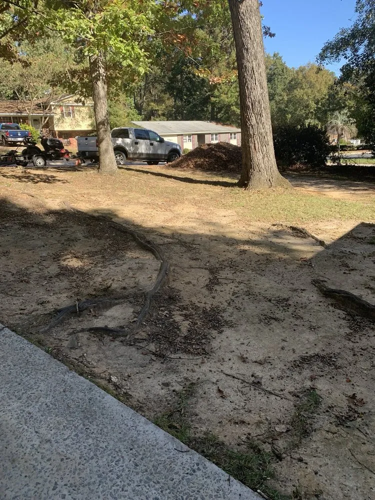 Local garden landscaping in Columbia, SC by Big Dog Lawn Services