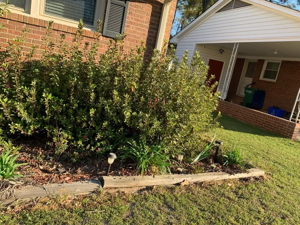 Local yard maintenance with custom design in Columbia, SC by Big Dog Lawn Services