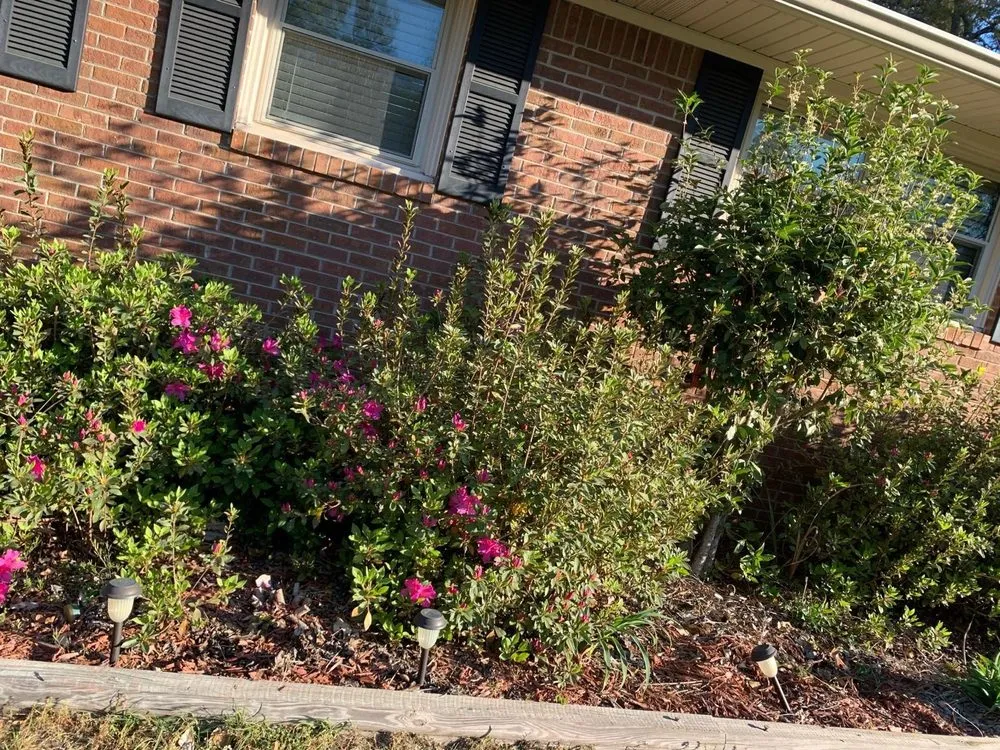 Reliable outdoor landscaping in Columbia, SC - Big Dog Lawn Services