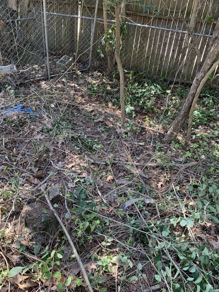 Professional garden landscaping experts serving Columbia, SC - Big Dog Lawn Services