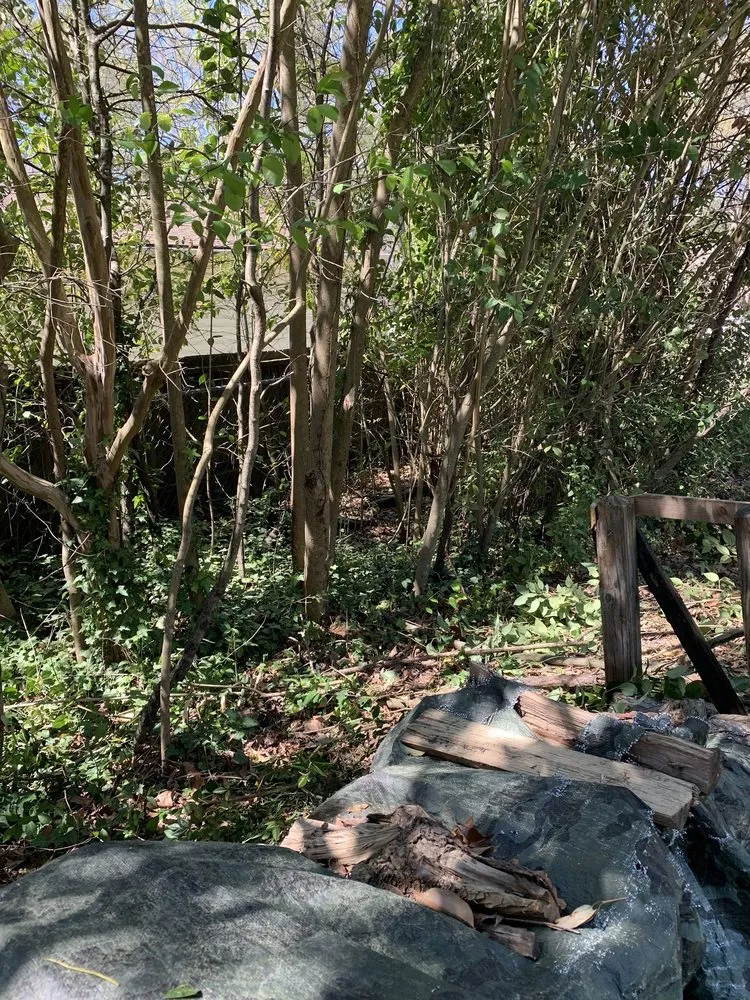 Professional garden landscaping in Columbia, SC - Big Dog Lawn Services