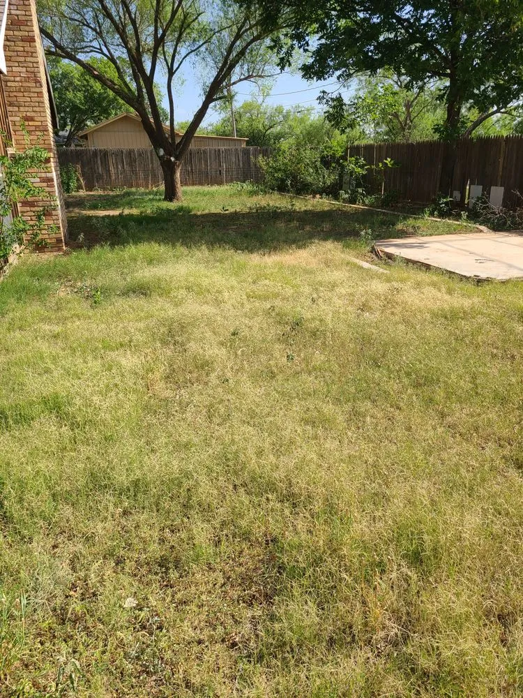 Affordable landscape installation in Snyder, TX by Big Dog Quality Services