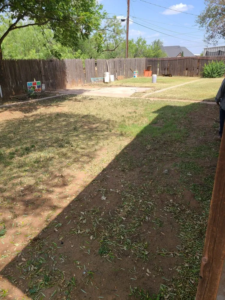 Top-rated landscape design for beautiful yards in Snyder, TX by Big Dog Quality Services