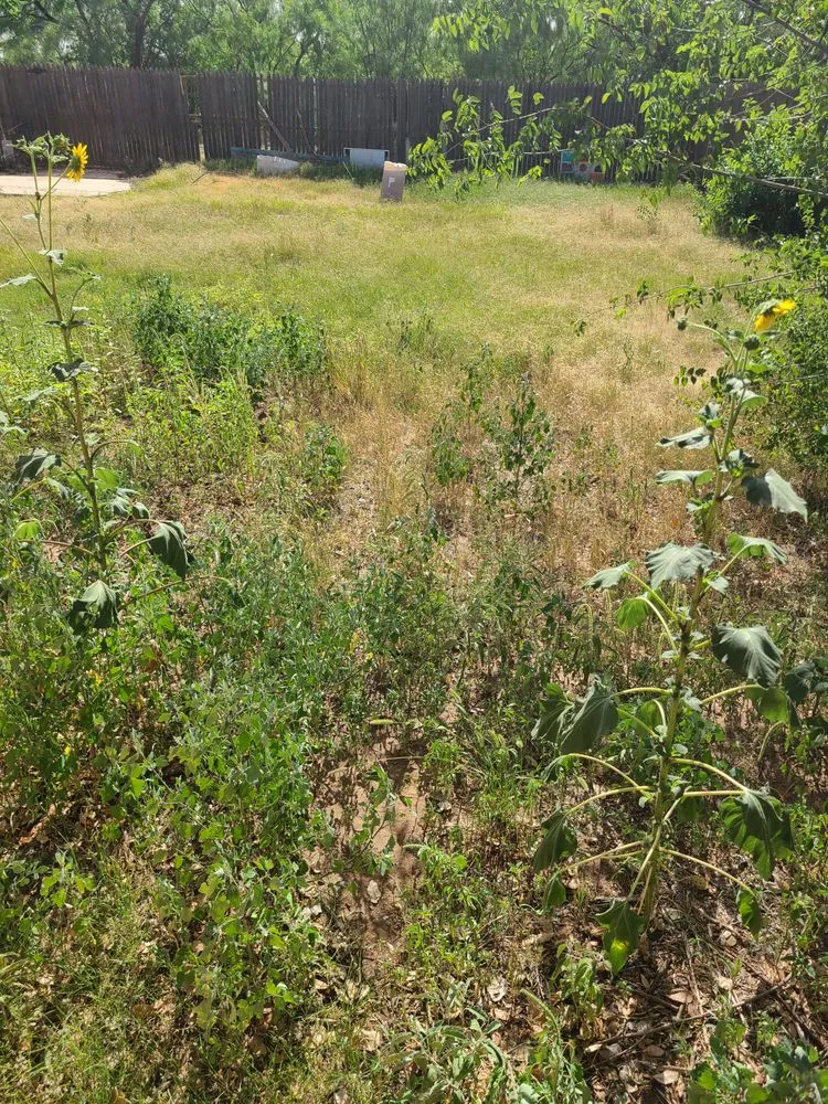 Custom lawn mowing service near you across Snyder, TX - Big Dog Quality Services