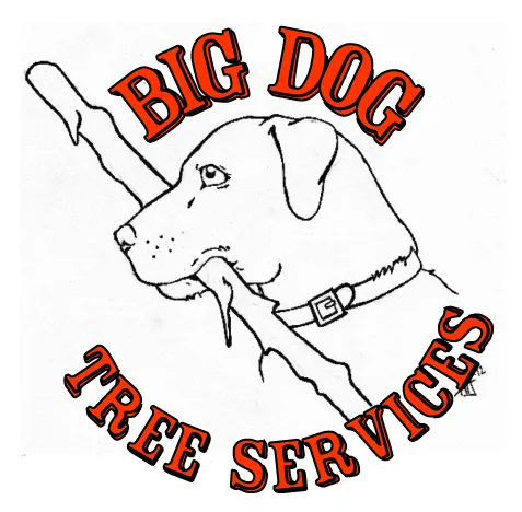 Local outdoor landscaping in Wasilla, AK by Big Dog Tree Services