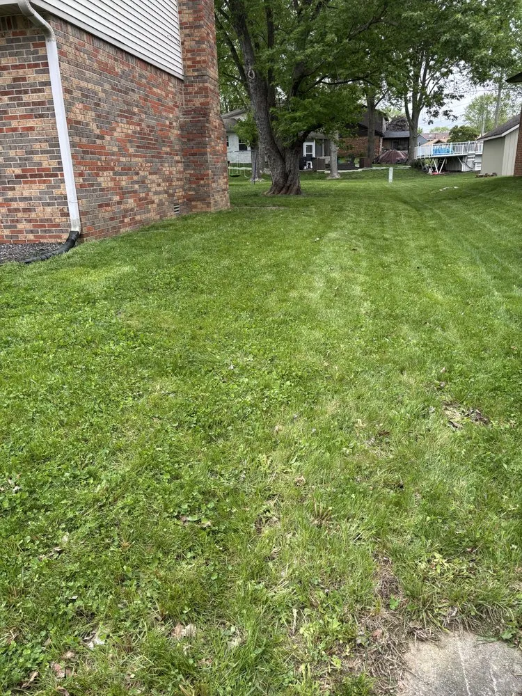 Expert landscaping services in Greenfield, IN - Big Dogg Lawn Care