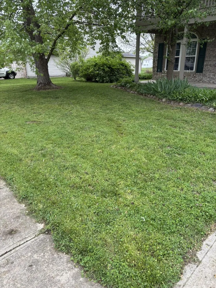 Professional outdoor landscaping experts serving Greenfield, IN - Big Dogg Lawn Care