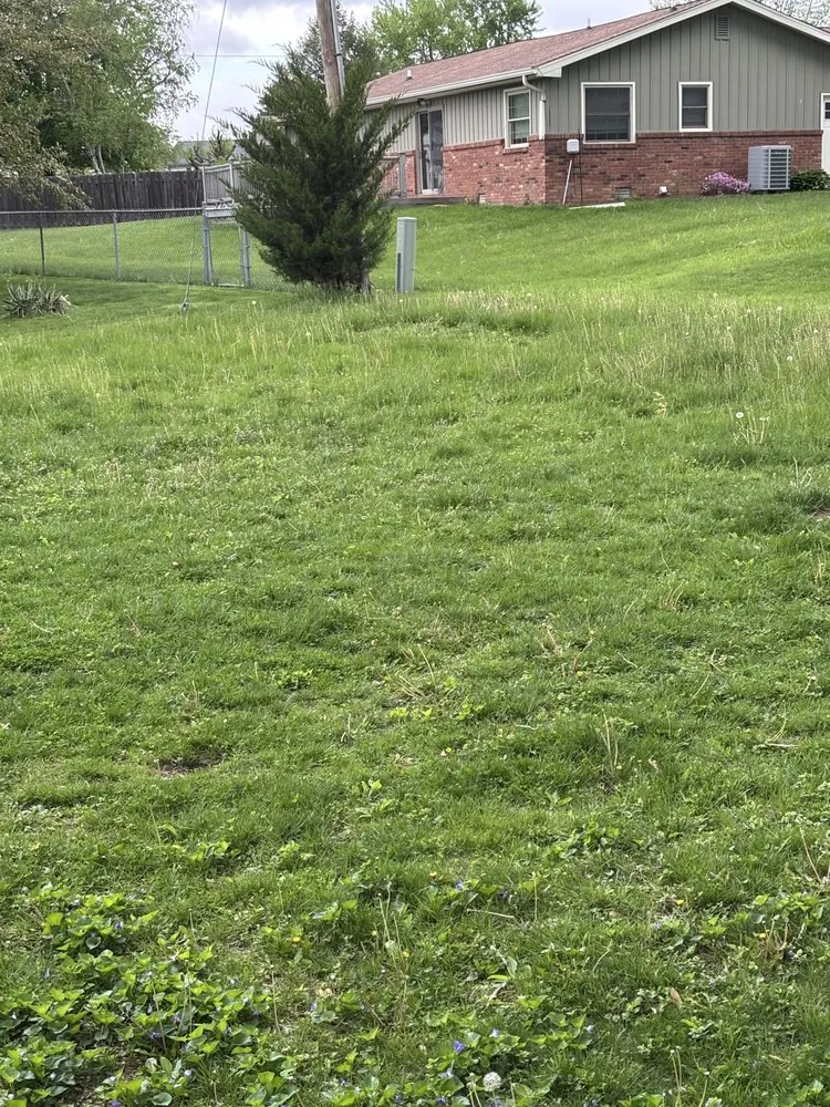 Local lawn care service with custom design in Greenfield, IN by Big Dogg Lawn Care