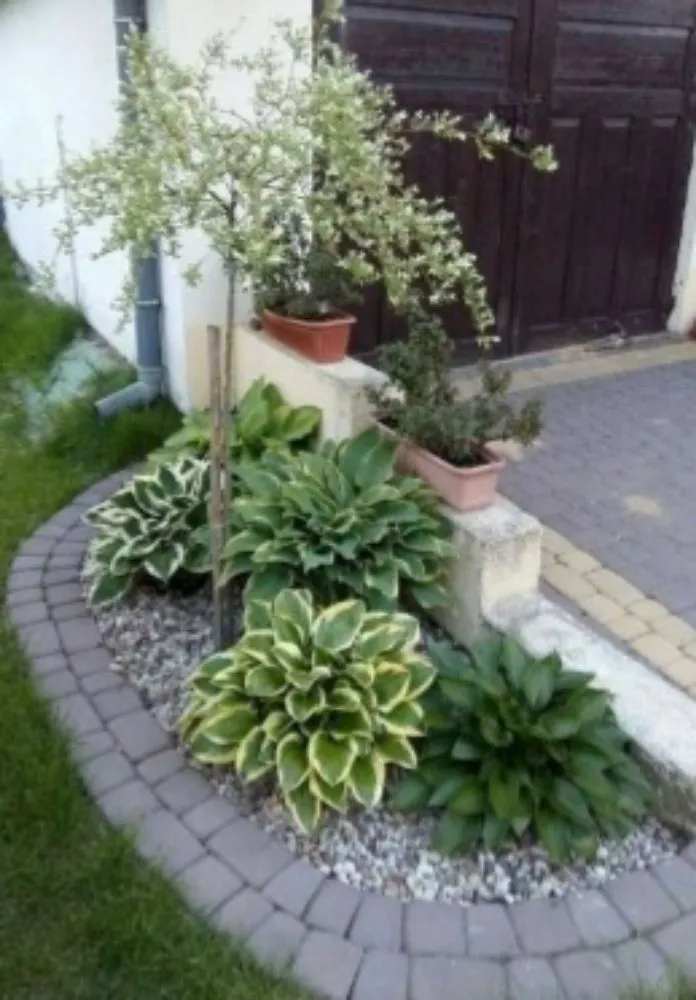 Reliable lawn mowing service experts serving Nokomis, FL - Big Dogs Landscaping