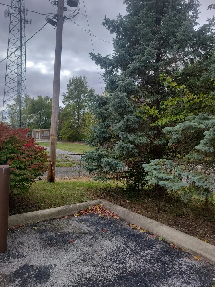 Professional lawn mowing service near you across Lima, OH - Big dogs lawn care