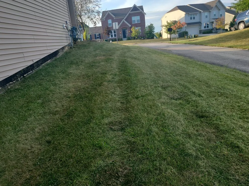 Professional yard cleanup service in Lima, OH - Big dogs lawn care