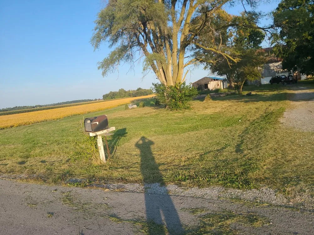 Expert landscape design experts serving Lima, OH - Big dogs lawn care