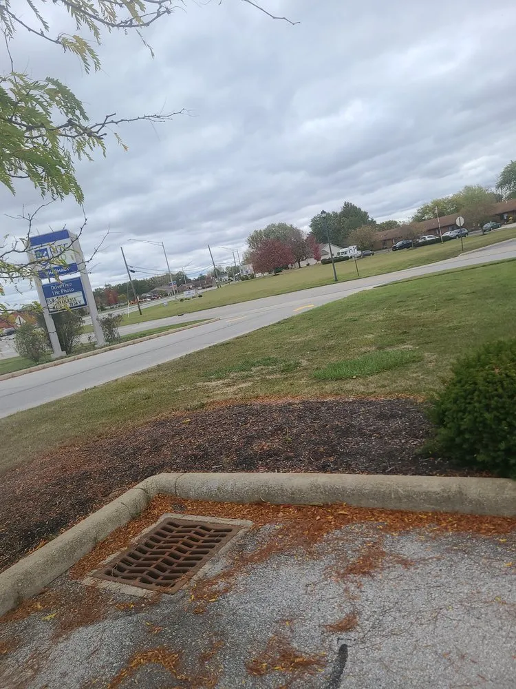 Custom lawn care service in Lima, OH - Big dogs lawn care