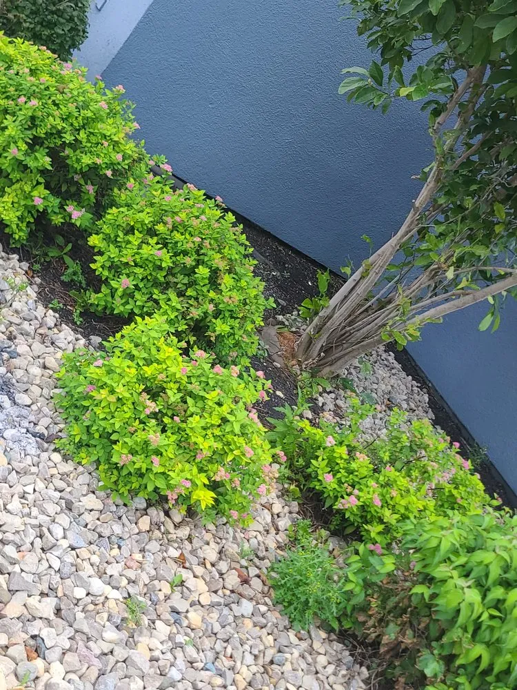 Reliable landscape installation for year-round maintenance in Lima, OH by Big dogs lawn care