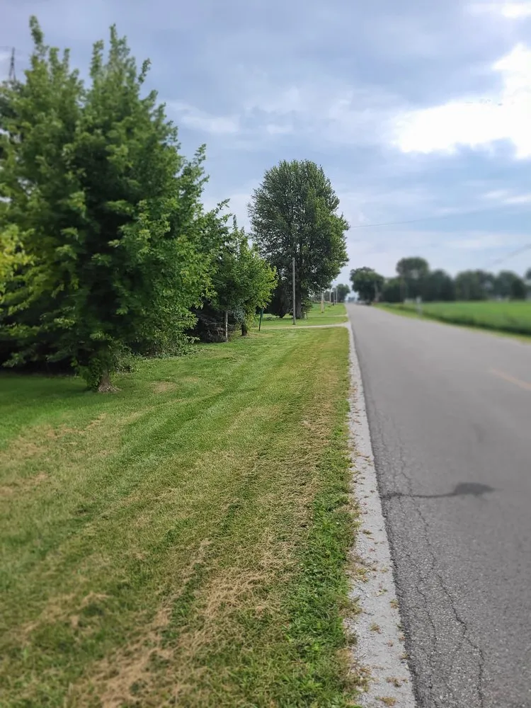 Expert lawn mowing service for homes in Lima, OH by Big dogs lawn care