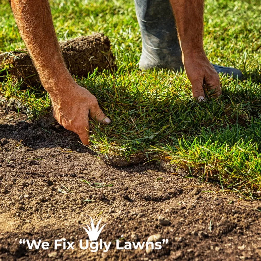 Top-rated yard maintenance with custom design in Howard, WI by Big Dog's Outdoor Services