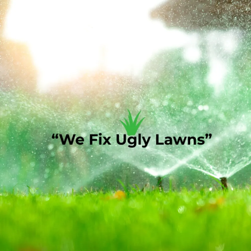 Trusted lawn mowing service for year-round maintenance in Howard, WI by Big Dog's Outdoor Services