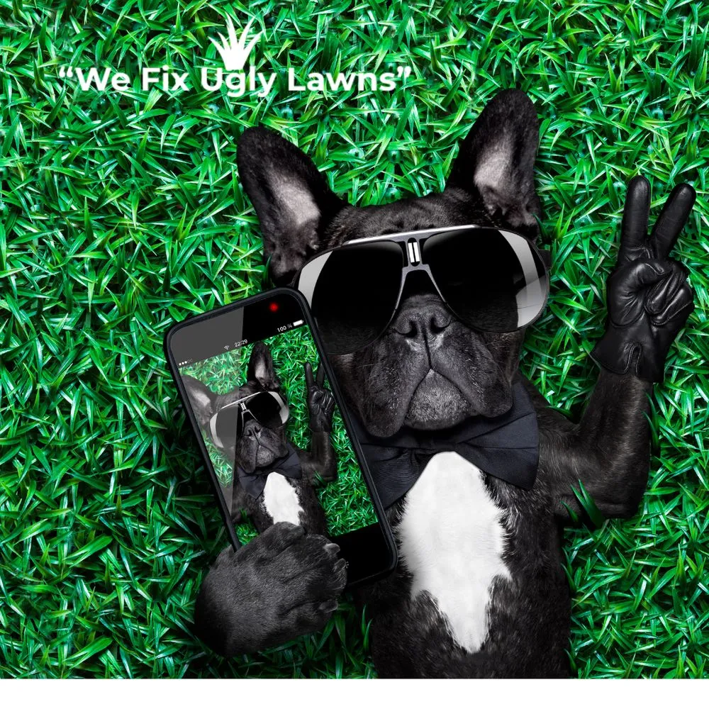 Professional lawn care service in Howard, WI by Big Dog's Outdoor Services