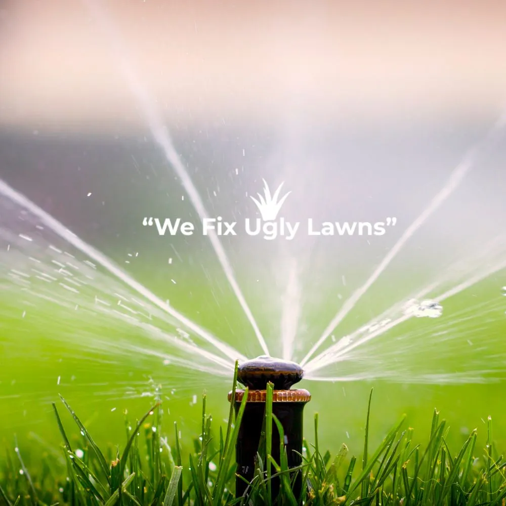 Expert garden landscaping experts serving Howard, WI - Big Dog's Outdoor Services