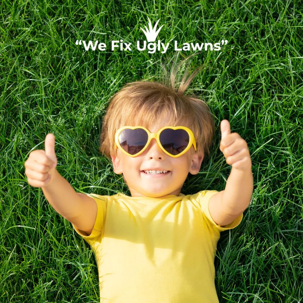 Local residential landscaping in Howard, WI by Big Dog's Outdoor Services