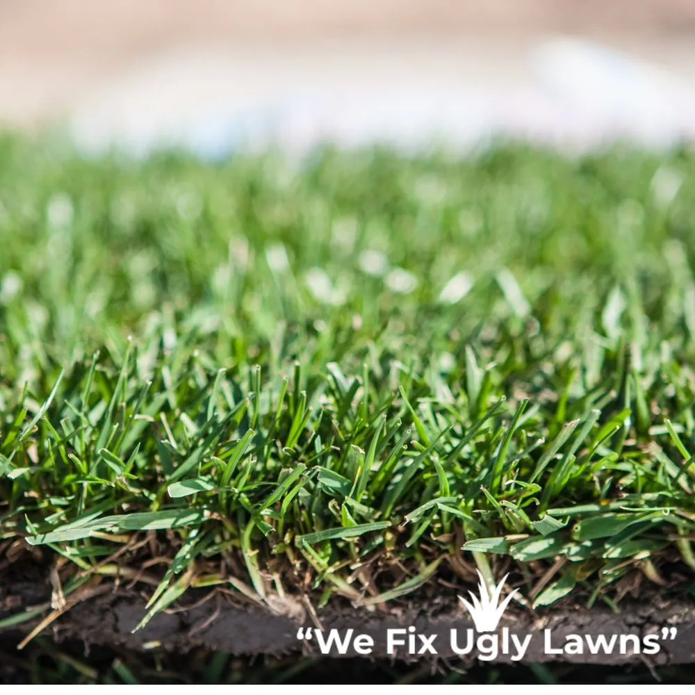 Top-rated outdoor landscaping in Howard, WI - Big Dog's Outdoor Services