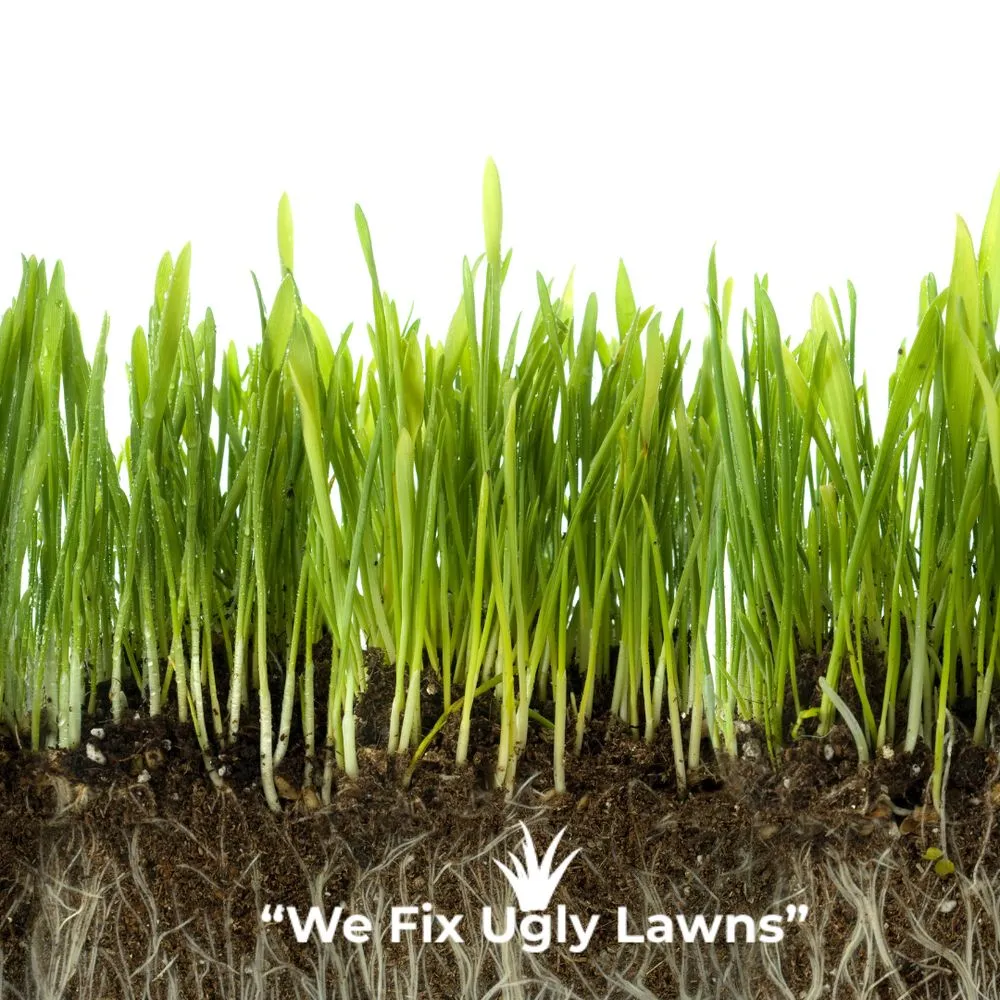 Professional lawn mowing service for residential properties in Howard, WI by Big Dog's Outdoor Services