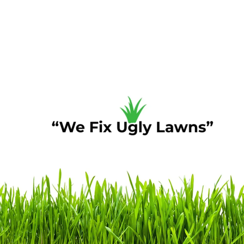 Custom lawn care service near you across Howard, WI - Big Dog's Outdoor Services