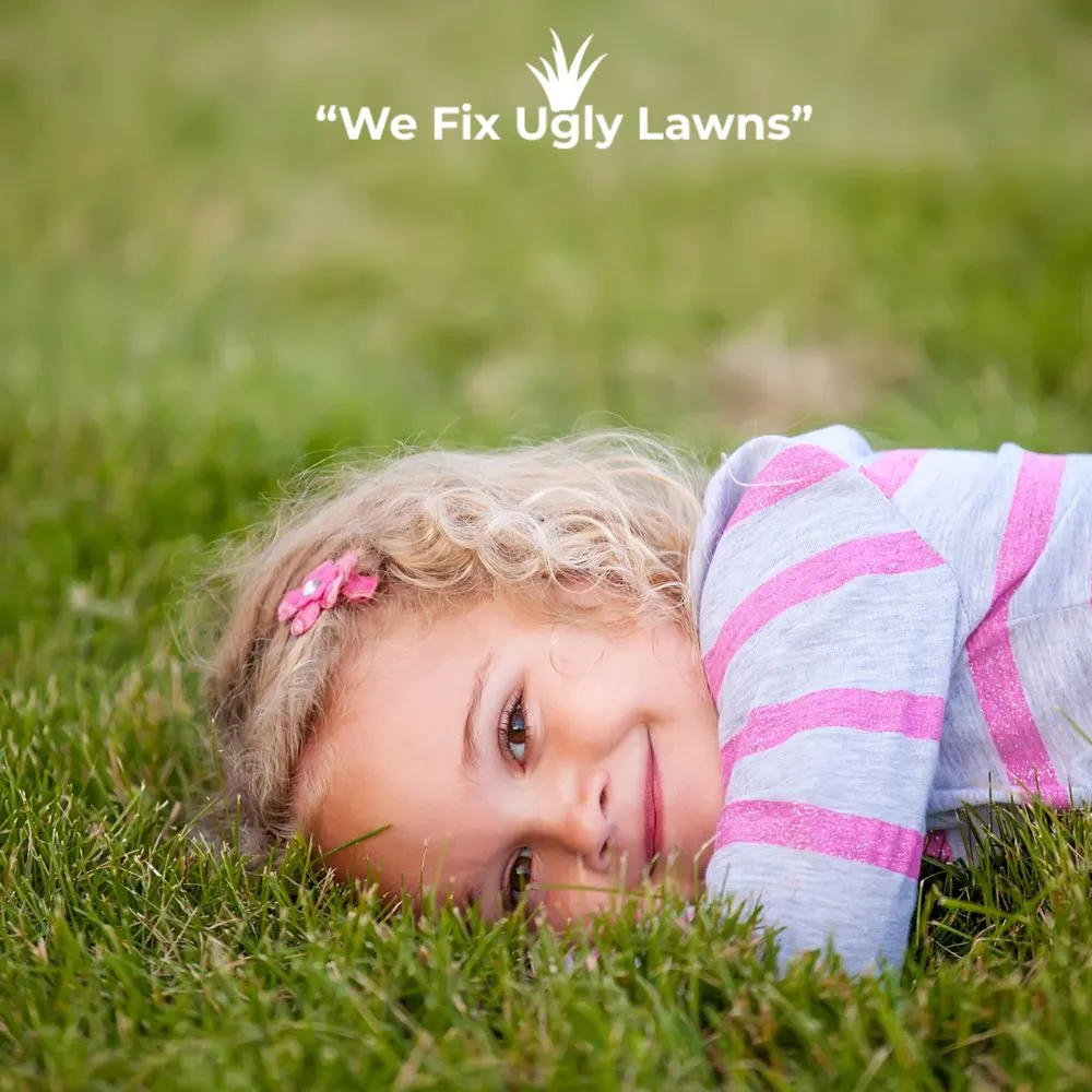 Trusted lawn care service in Howard, WI by Big Dog's Outdoor Services