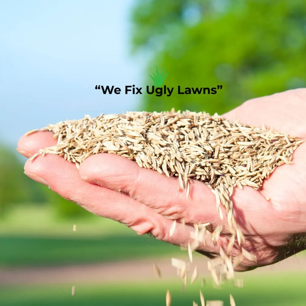 Expert landscape installation near you across Howard, WI - Big Dog's Outdoor Services