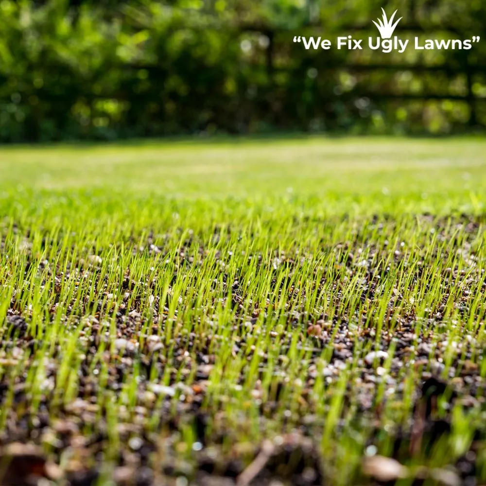 Trusted residential landscaping for outdoor upgrades in Howard, WI by Big Dog's Outdoor Services