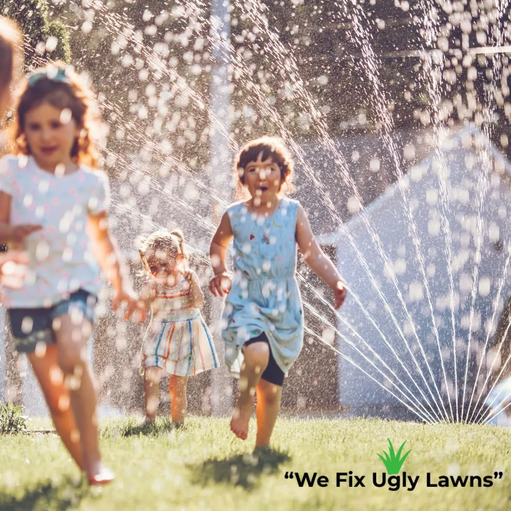 Trusted yard maintenance in Howard, WI by Big Dog's Outdoor Services