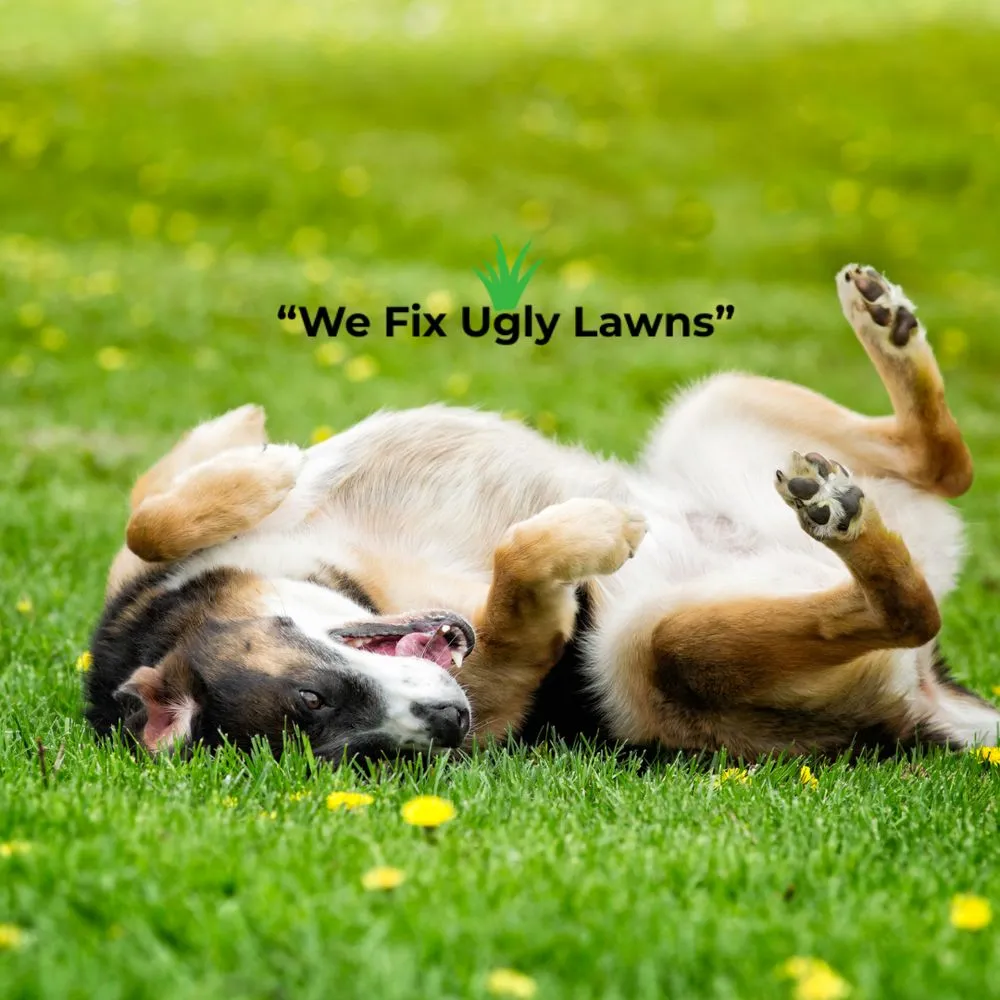Expert landscaping services near you across Howard, WI - Big Dog's Outdoor Services